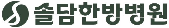 SOLDAM logo