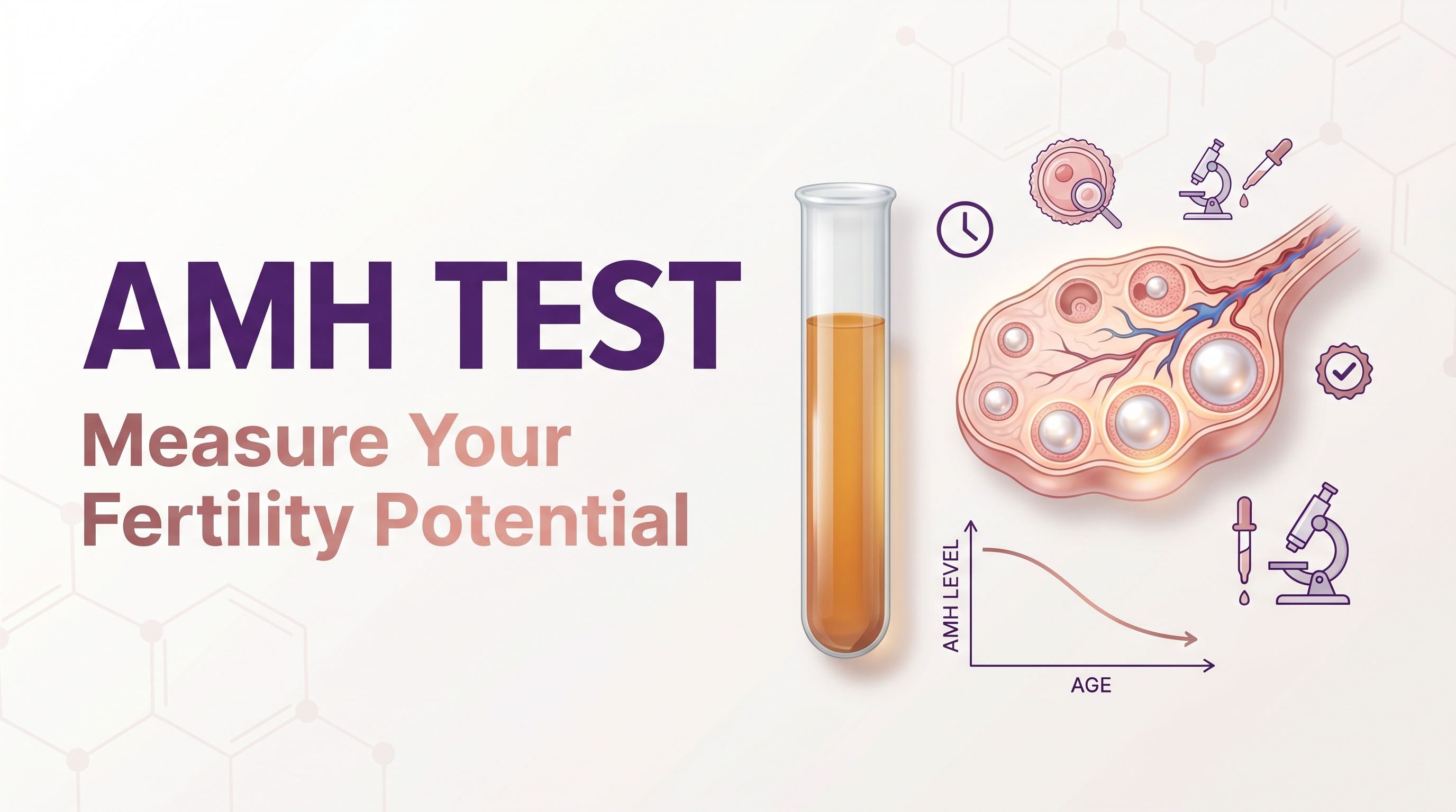 AMH Test